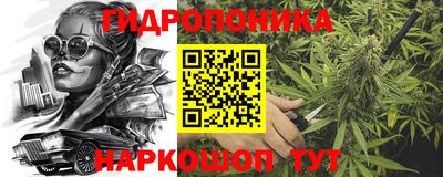 молекула духа Старая Купавна